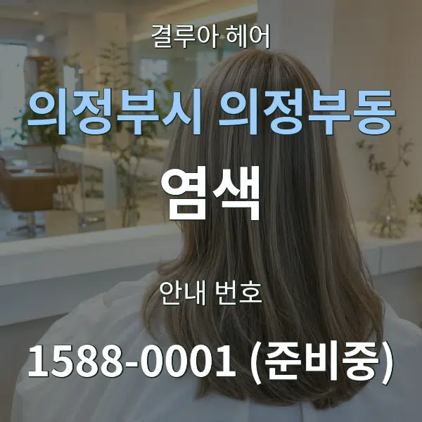 의정부시 의정부동 염색 대표 안내 그래픽