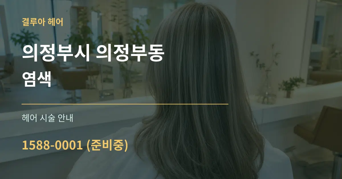 의정부시 의정부동 염색 대표 안내 그래픽