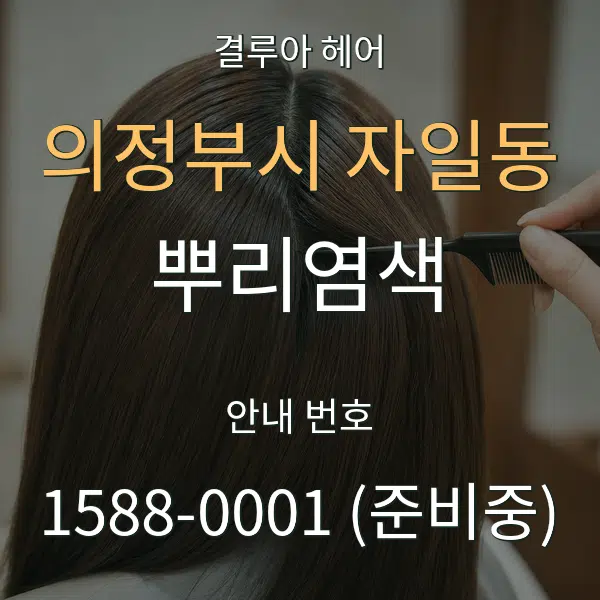 의정부시 자일동 뿌리염색 대표 안내 그래픽