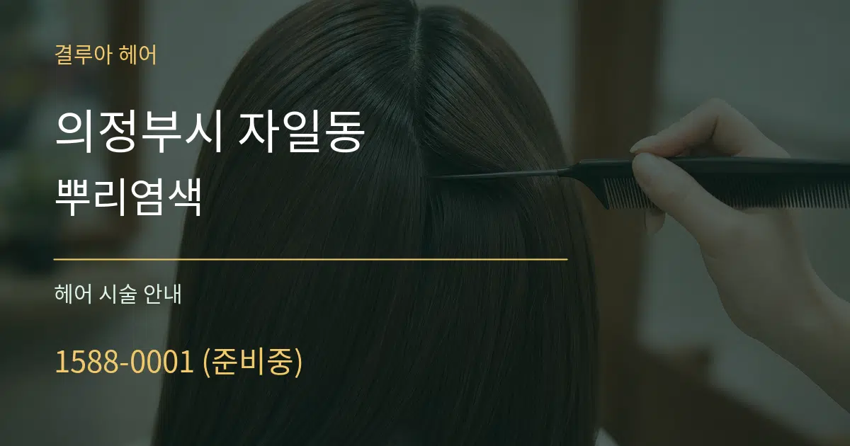 의정부시 자일동 뿌리염색 대표 안내 그래픽