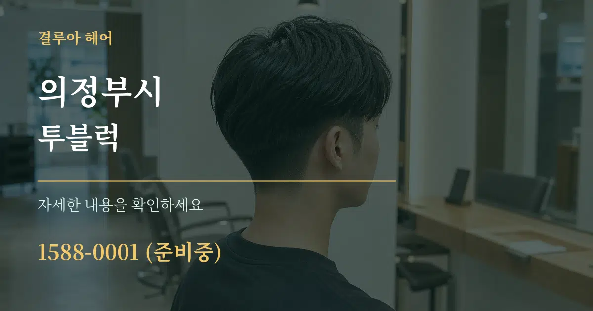 의정부시 투블럭 서비스 이용 안내 그래픽