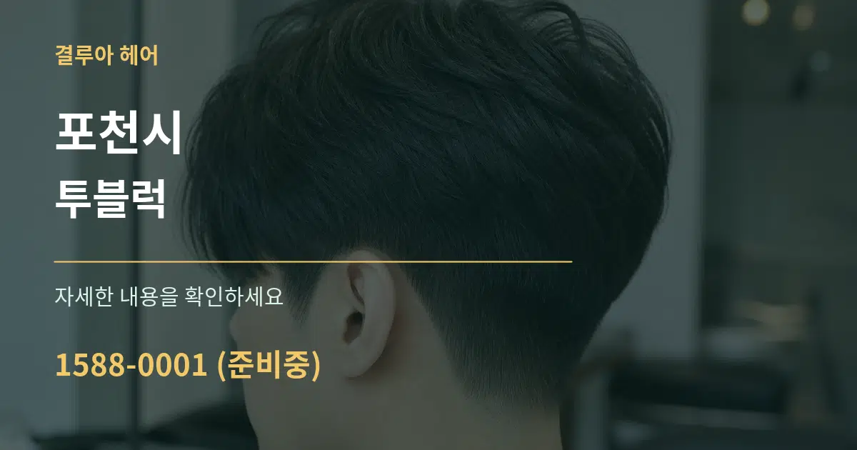 포천시 투블럭 서비스 이용 안내 그래픽