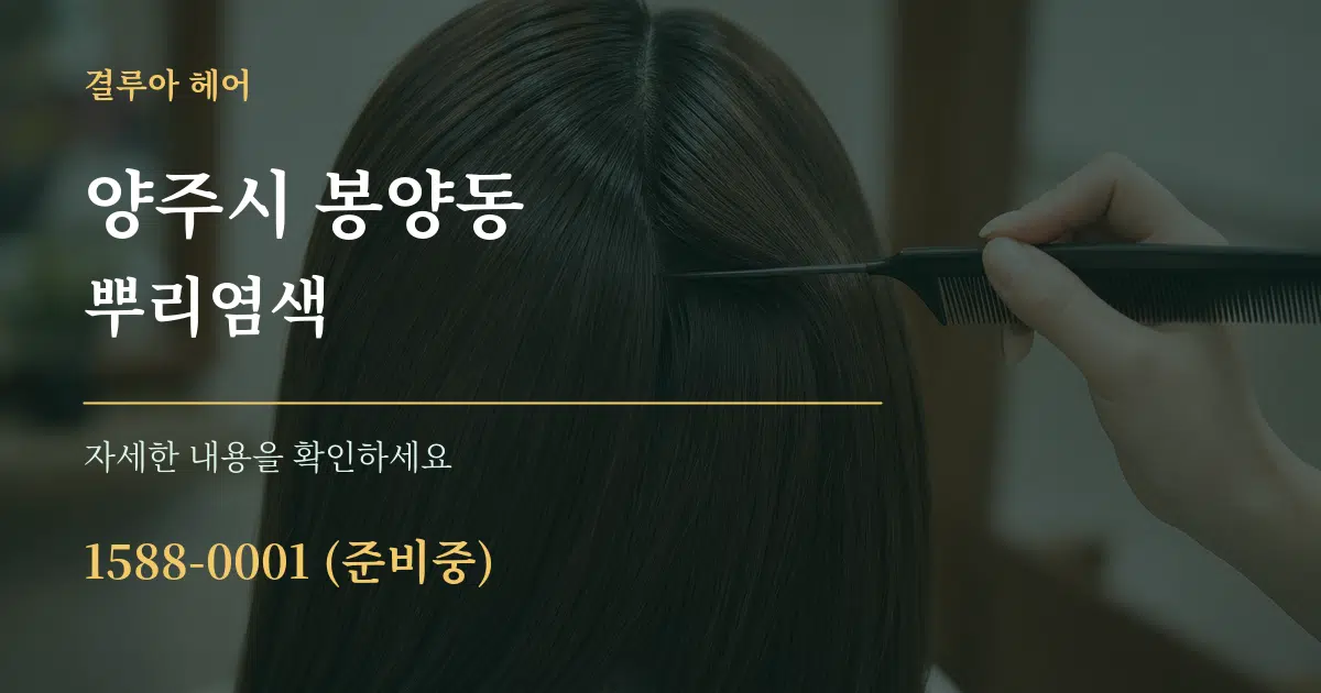 양주시 봉양동 뿌리염색 작업 조건 안내 그래픽