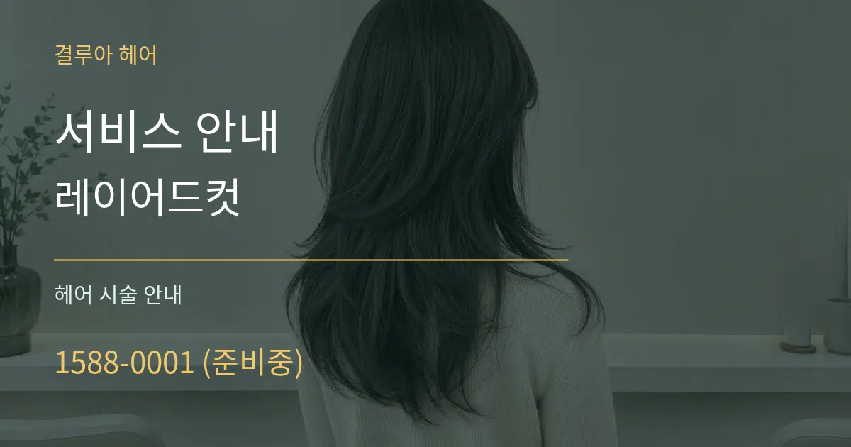 서비스 안내 레이어드컷 대표 안내 그래픽