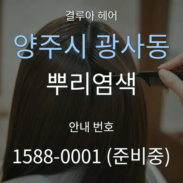 양주시 광사동 뿌리염색 대표 안내 그래픽