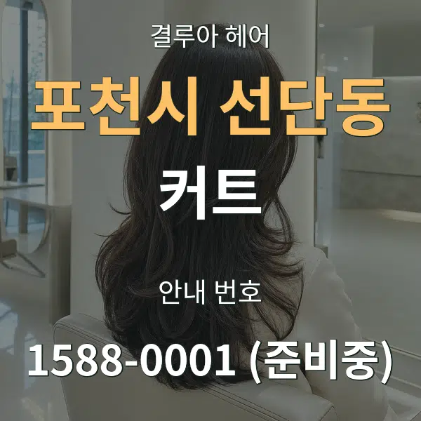 포천시 선단동 커트 대표 안내 그래픽