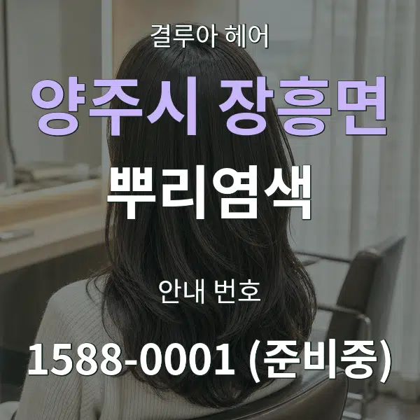 양주시 장흥면 뿌리염색 대표 안내 그래픽