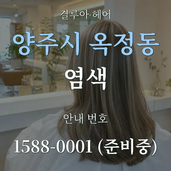 양주시 옥정동 염색 대표 안내 그래픽