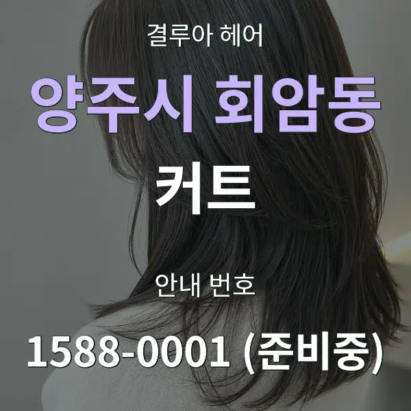 양주시 회암동 커트 대표 안내 그래픽