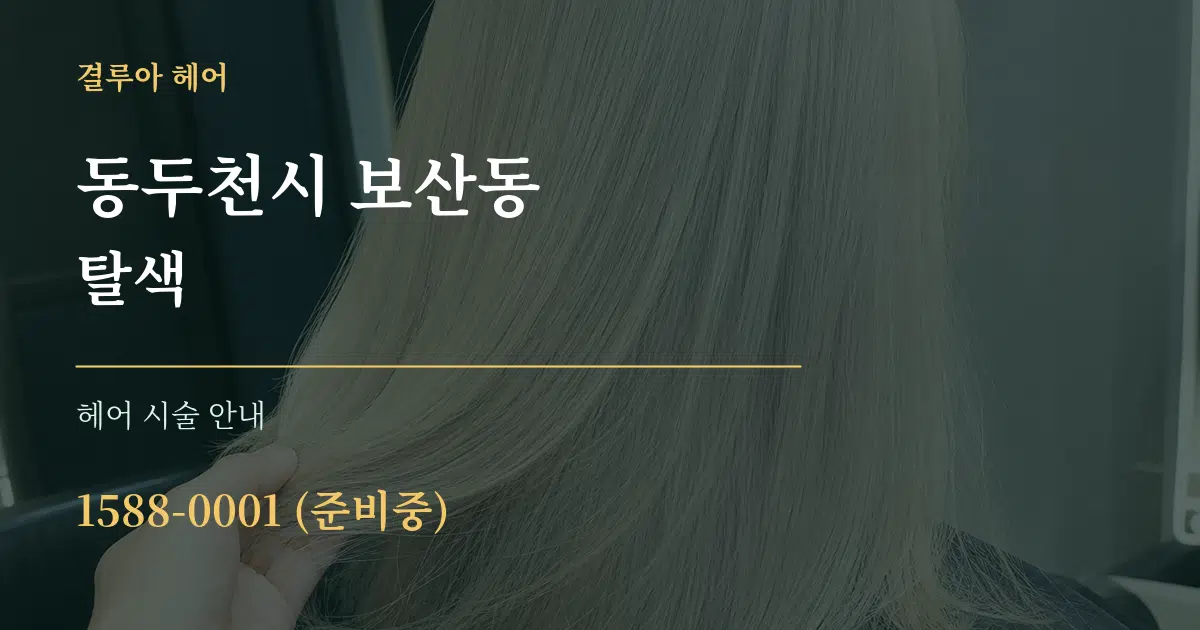 동두천시 보산동 탈색 대표 안내 그래픽
