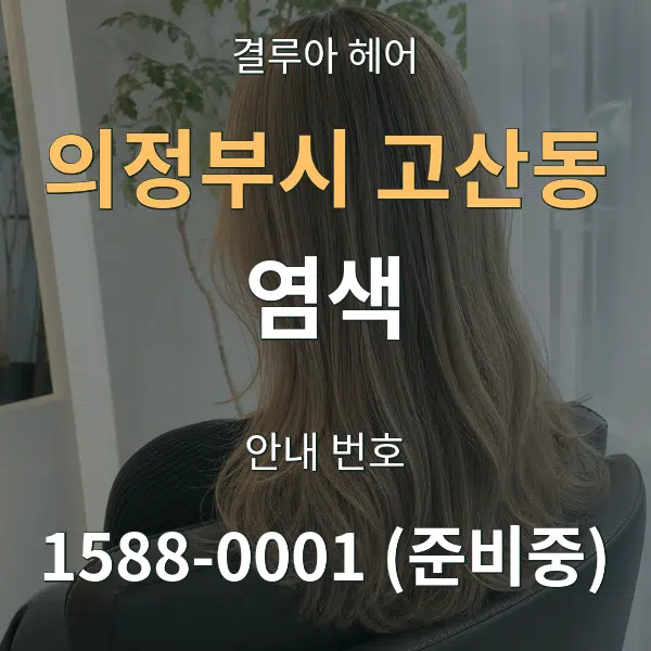 의정부시 고산동 염색 대표 안내 그래픽