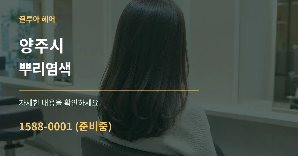 양주시 뿌리염색 서비스 이용 안내 그래픽