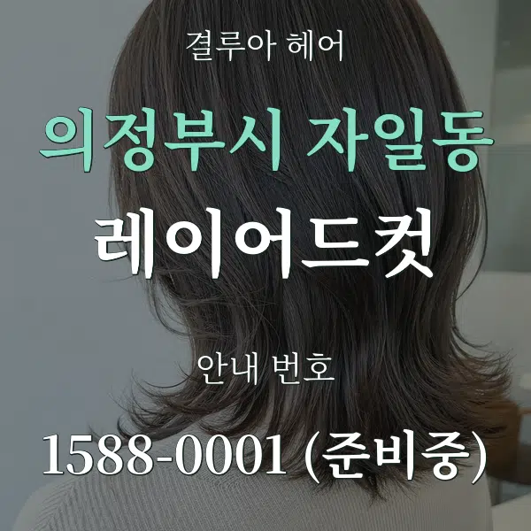 의정부시 자일동 레이어드컷 대표 안내 그래픽