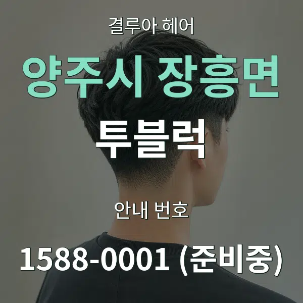 양주시 장흥면 투블럭 대표 안내 그래픽