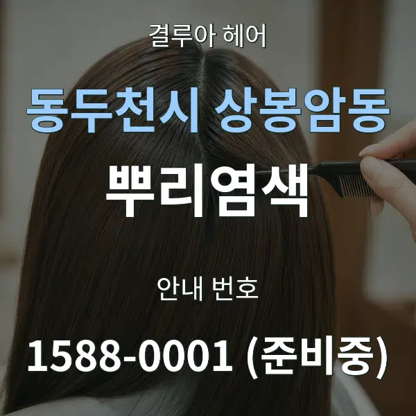 동두천시 상봉암동 뿌리염색 대표 안내 그래픽