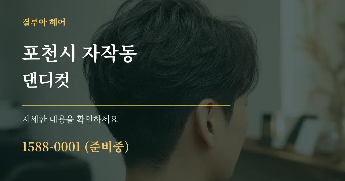 포천시 자작동 댄디컷 서비스 이용 안내 그래픽
