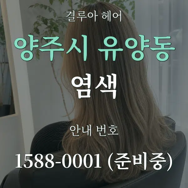 양주시 유양동 염색 대표 안내 그래픽