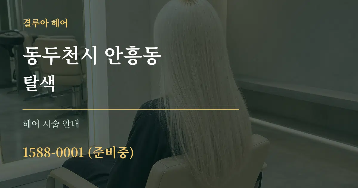 동두천시 안흥동 탈색 대표 안내 그래픽