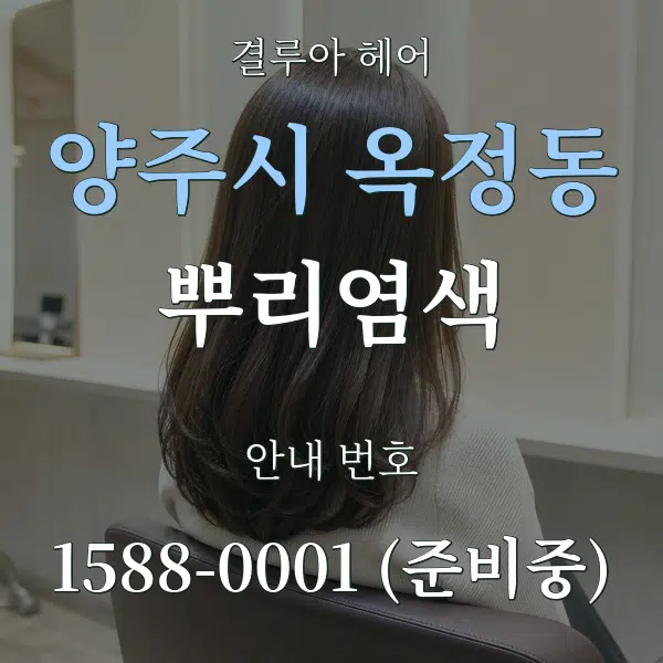 양주시 옥정동 뿌리염색 대표 안내 그래픽