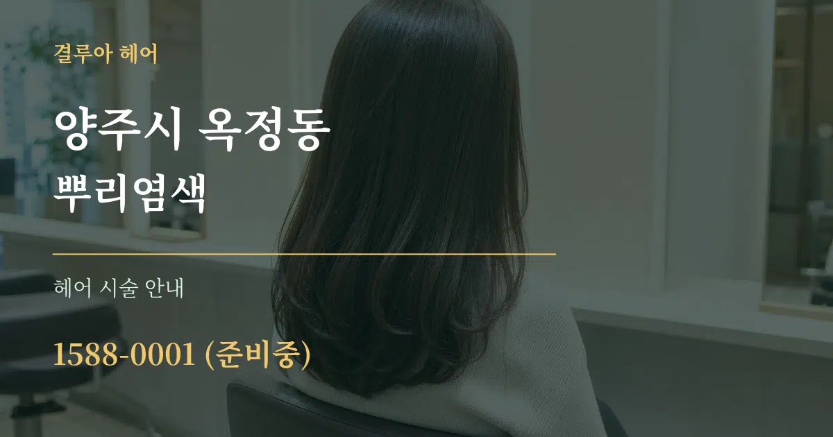 양주시 옥정동 뿌리염색 대표 안내 그래픽