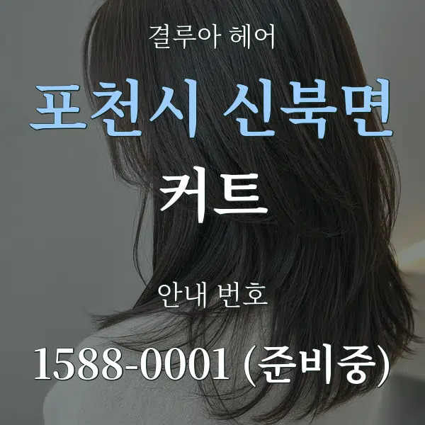 포천시 신북면 커트 대표 안내 그래픽