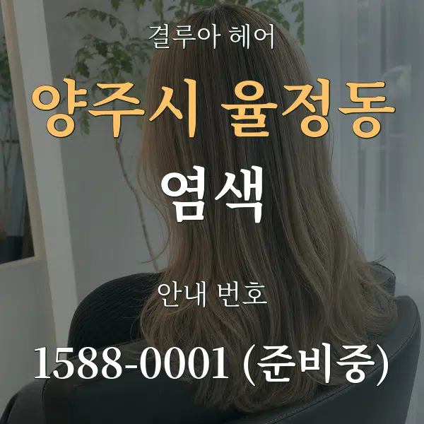 양주시 율정동 염색 대표 안내 그래픽