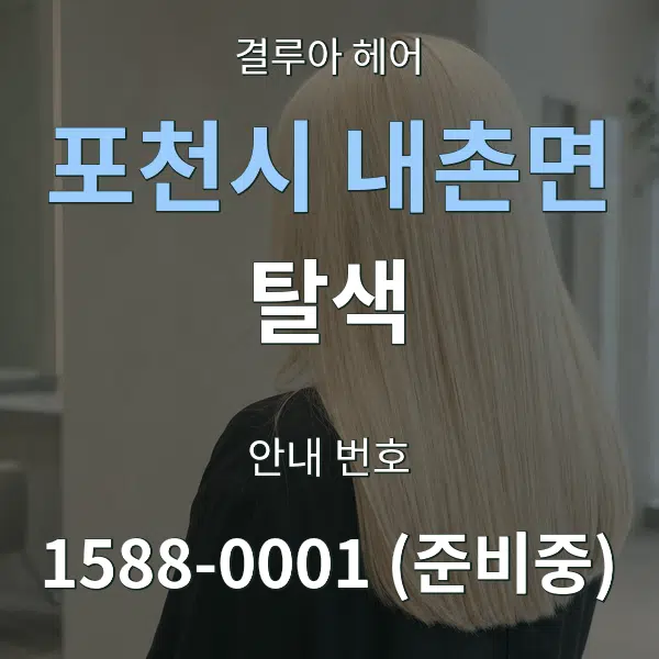 포천시 내촌면 탈색 대표 안내 그래픽