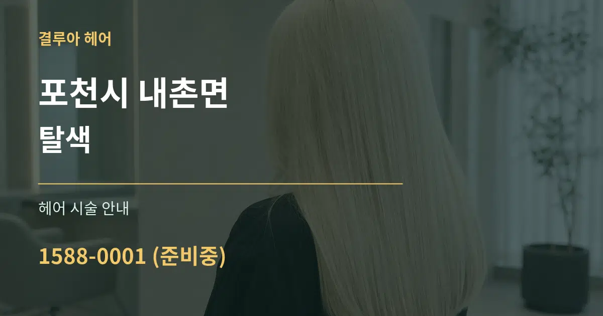 포천시 내촌면 탈색 대표 안내 그래픽