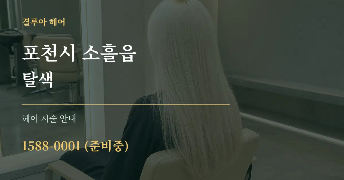 포천시 소흘읍 탈색 대표 안내 그래픽