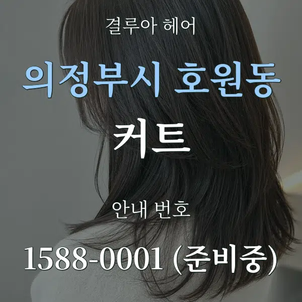 의정부시 호원동 커트 대표 안내 그래픽