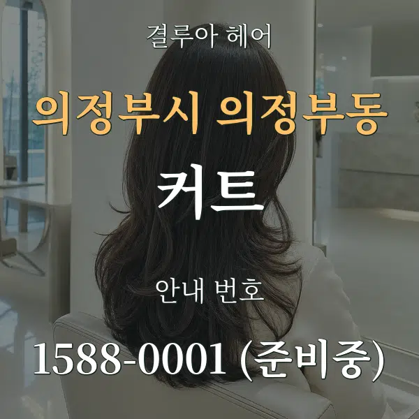 의정부시 의정부동 커트 대표 안내 그래픽