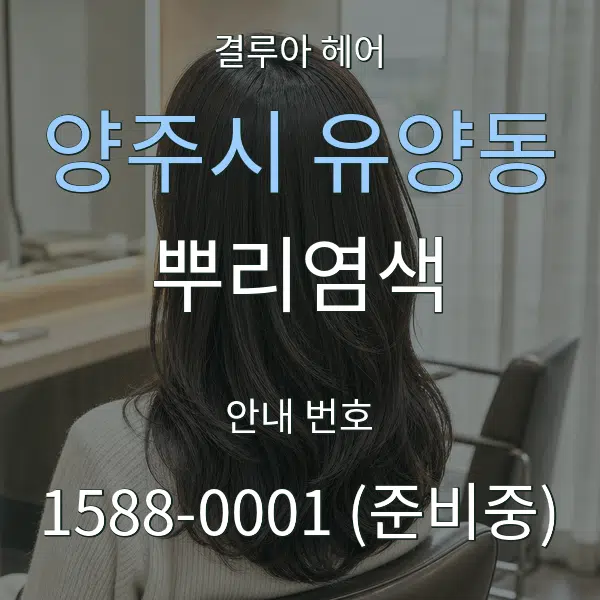 양주시 유양동 뿌리염색 대표 안내 그래픽