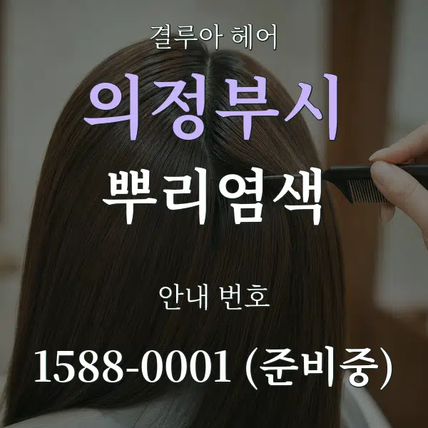의정부시 뿌리염색 대표 안내 그래픽