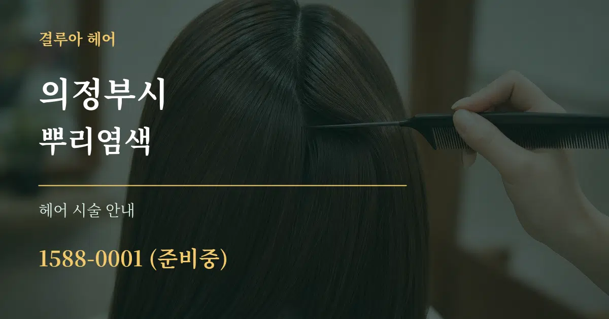 의정부시 뿌리염색 대표 안내 그래픽