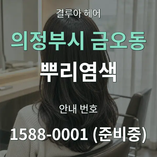 의정부시 금오동 뿌리염색 대표 안내 그래픽