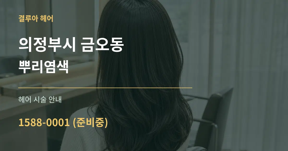 의정부시 금오동 뿌리염색 대표 안내 그래픽