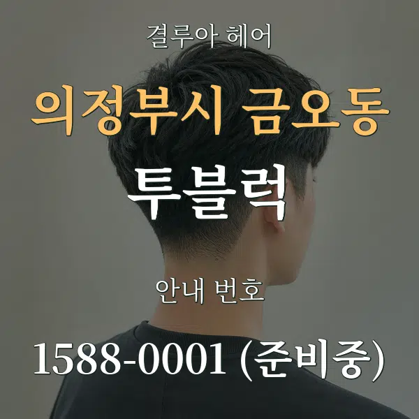 의정부시 금오동 투블럭 대표 안내 그래픽