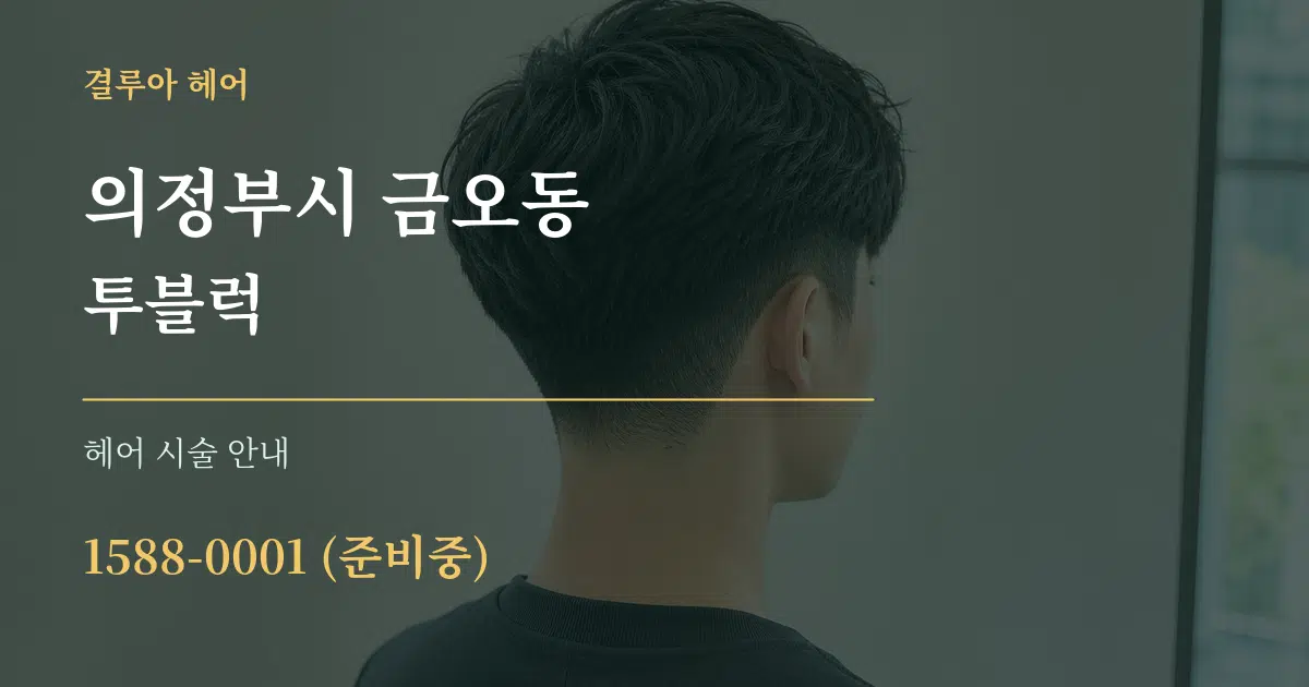 의정부시 금오동 투블럭 대표 안내 그래픽