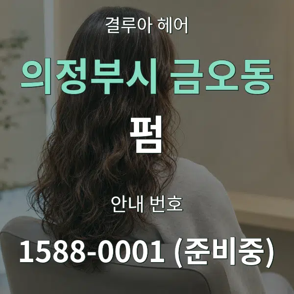 의정부시 금오동 펌 대표 안내 그래픽