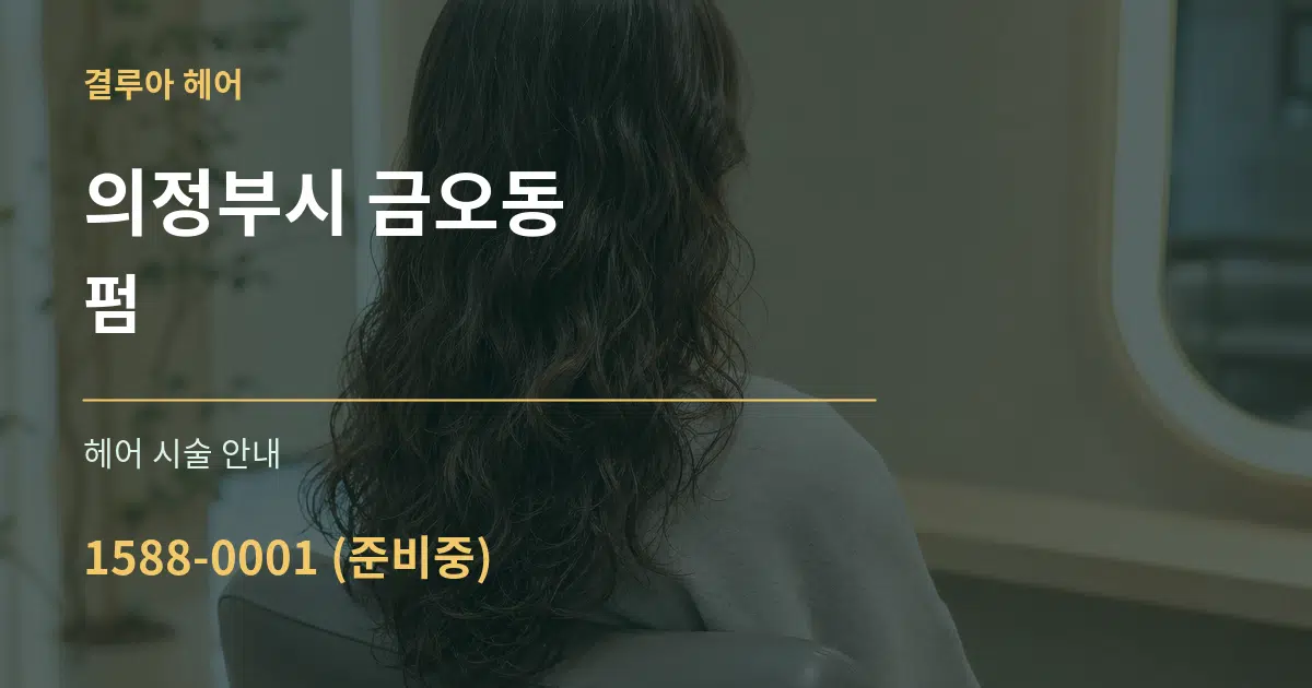 의정부시 금오동 펌 대표 안내 그래픽