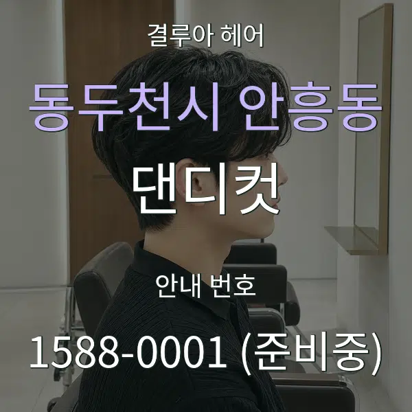동두천시 안흥동 댄디컷 대표 안내 그래픽