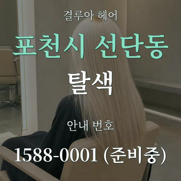 포천시 선단동 탈색 대표 안내 그래픽