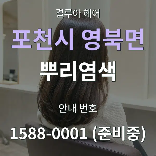 포천시 영북면 뿌리염색 대표 안내 그래픽