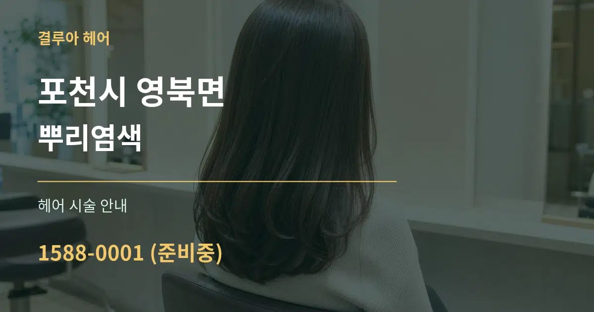 포천시 영북면 뿌리염색 대표 안내 그래픽