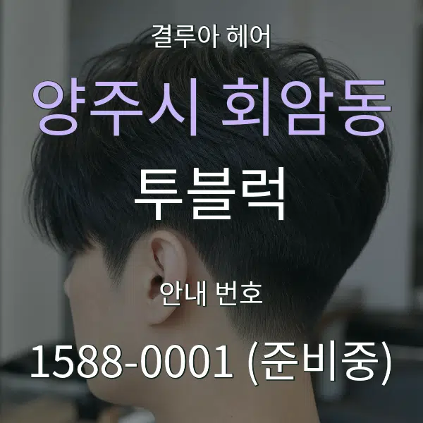 양주시 회암동 투블럭 대표 안내 그래픽