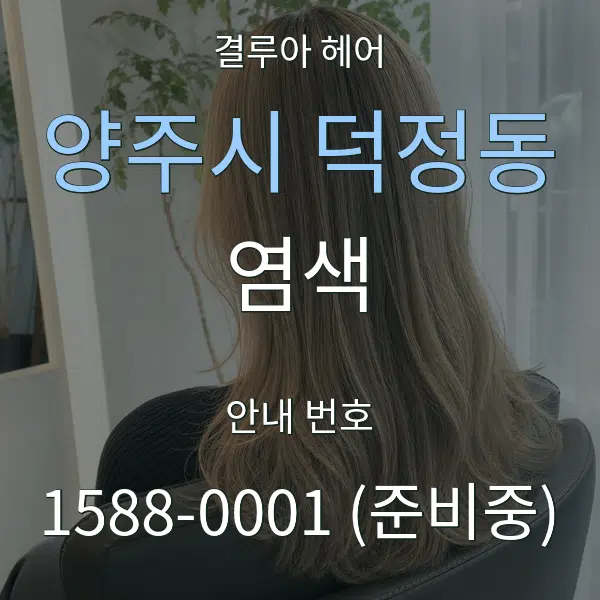 양주시 덕정동 염색 대표 안내 그래픽