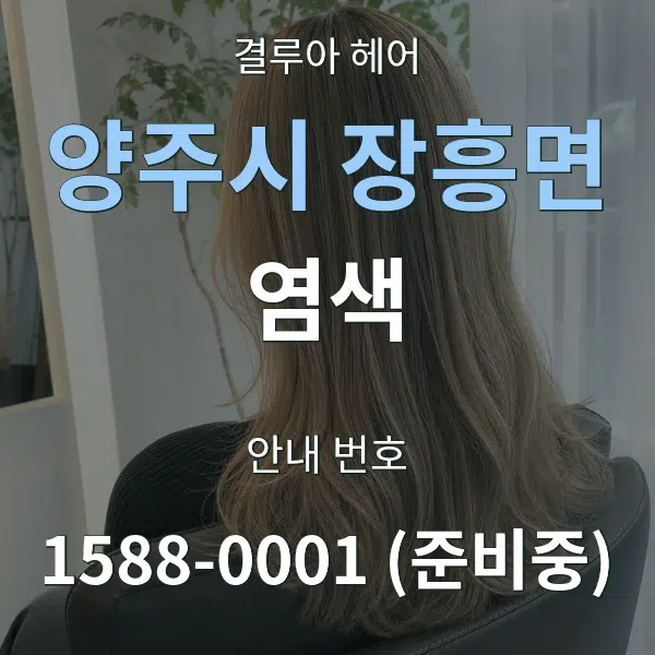 양주시 장흥면 염색 대표 안내 그래픽